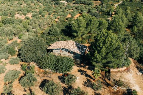 Landejendom i Vilafames, Castellon, Vilafames - € 110.000 | Ref: 818 - foto 20